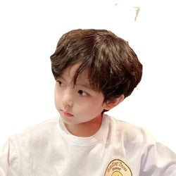 Coolhair Wig Short Brown Boy's Hair Extensions Synthetic Layered Short Kinky Curl Kids Wig Natural Fluffy Cosplay Daily Wear